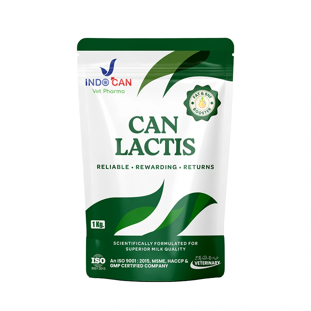 CAN LACTIS
